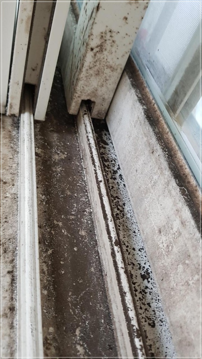 청소박사 PC 이미지 828700