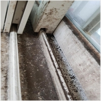 청소박사 PC 갤러리 15