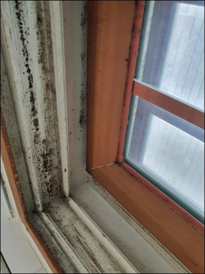 청소박사 PC 이미지 1088705