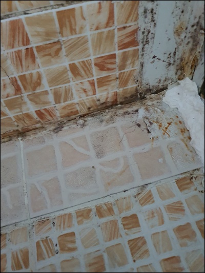 청소박사 PC 이미지 1088709