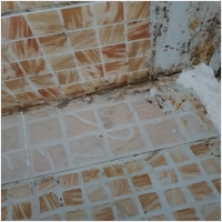 청소박사 PC 갤러리 1